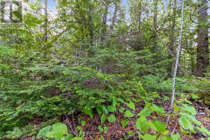 Part Farm Lot 4 Chi Sin Tib Dek Road — photo 15 of 23