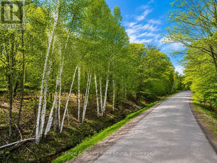 22 Bayview Drive, Carling, photo 4