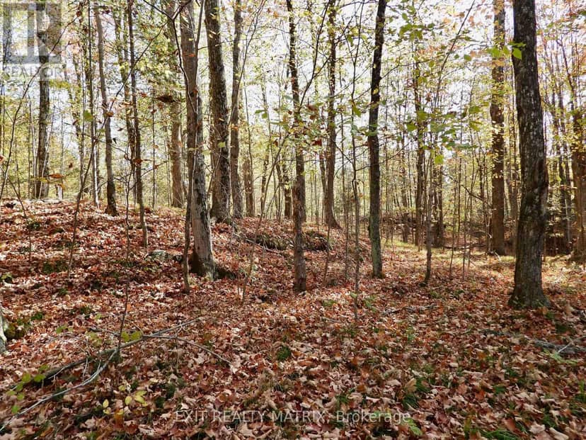 Lot 2 Woodland Park Drive, Frontenac, photo 7