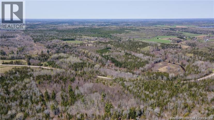 LOT 3227 route 495 — photo 4 of 6
