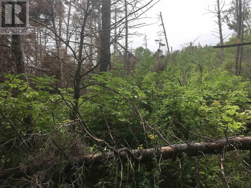 Pleasant Bay Road — photo 11 of 11