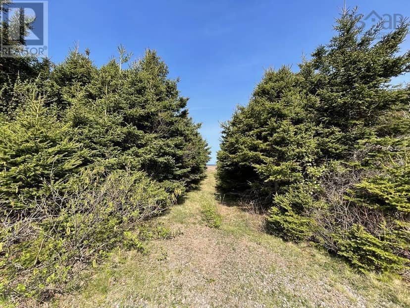 99 Pleasant Bay Loop — photo 10 of 21