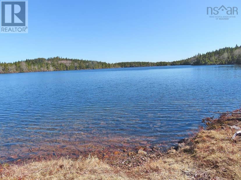 169.5 Acres Tompkinsville Road — photo 14 of 40