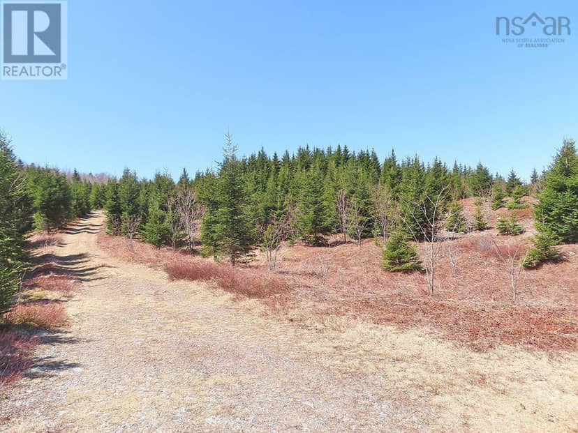 169.5 Acres Tompkinsville Road — photo 18 of 40