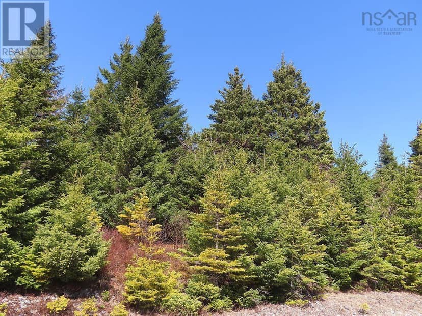 169.5 Acres Tompkinsville Road — photo 32 of 40