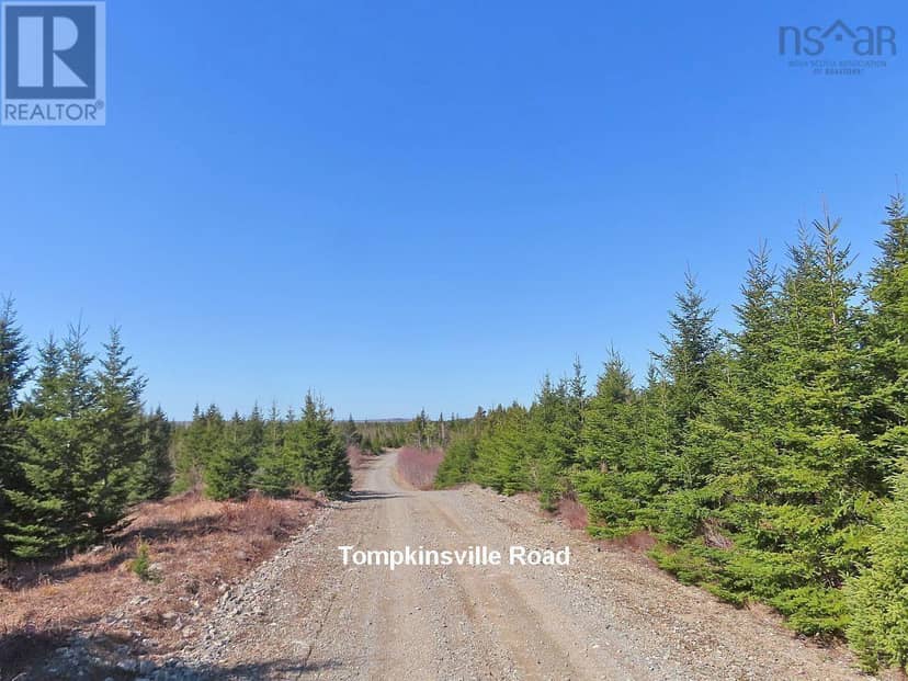 169.5 Acres Tompkinsville Road — photo 33 of 40