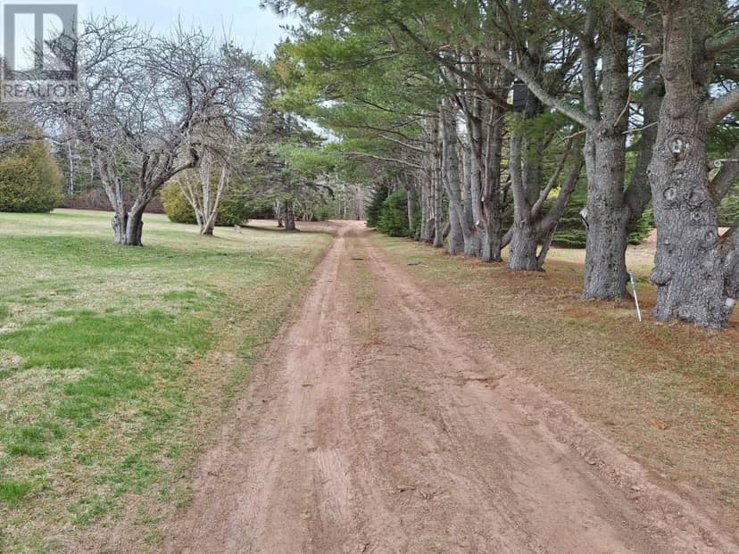 982 Culloden Road, Belle River, photo 5