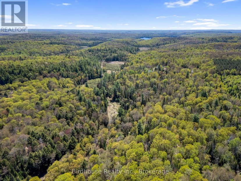 Pt Lt 26 Con 17 Cardiff Hwy #648 (Loop) Road, Highlands East, photo 6