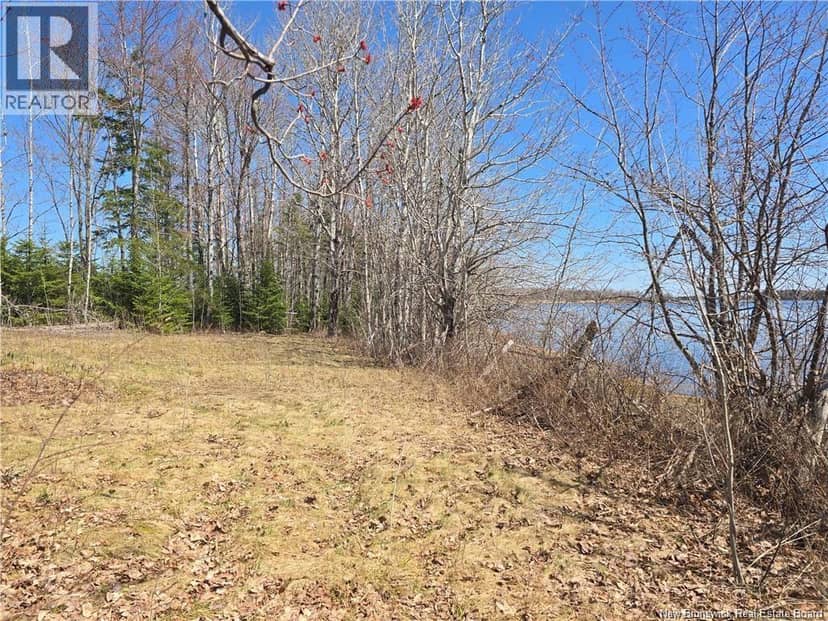 Acreage North Black River Road — photo 11 of 31