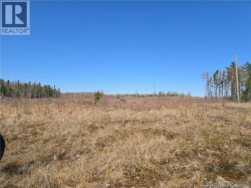 Acreage North Black River Road — photo 18 of 31
