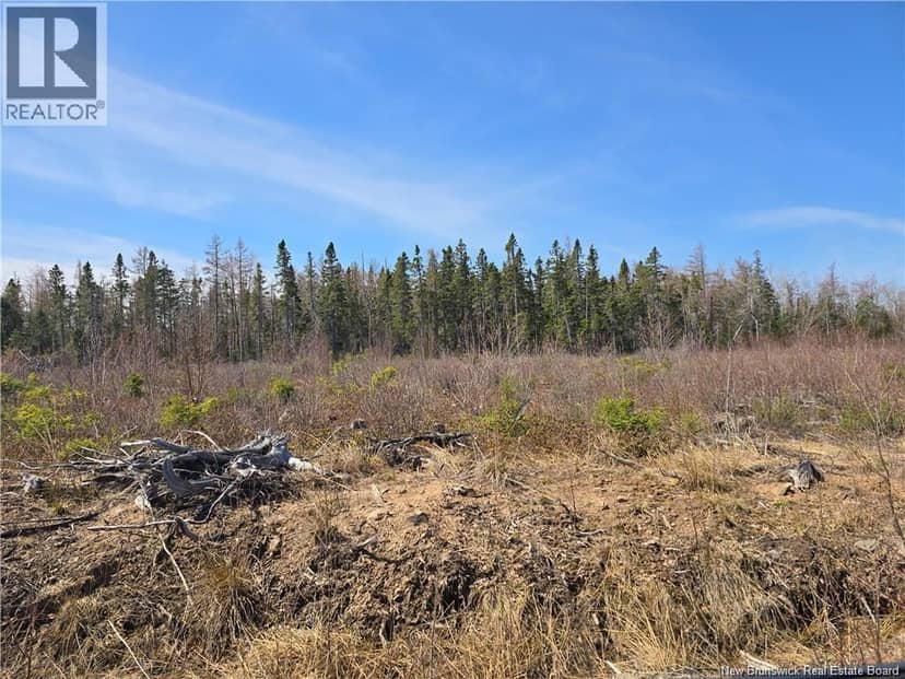 Acreage North Black River Road — photo 17 of 31