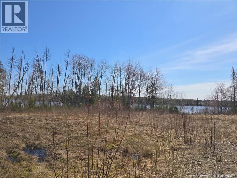 Acreage North Black River Road — photo 23 of 31