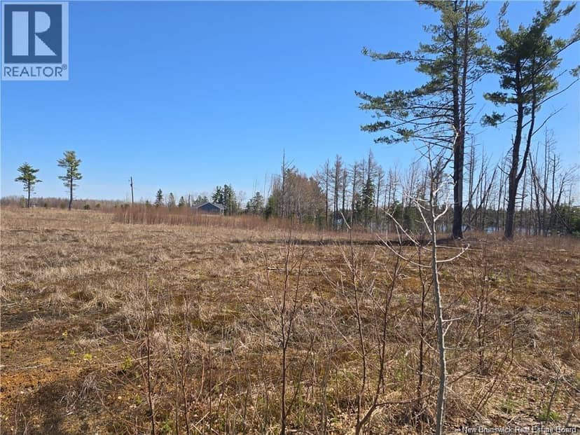 Acreage North Black River Road — photo 28 of 31