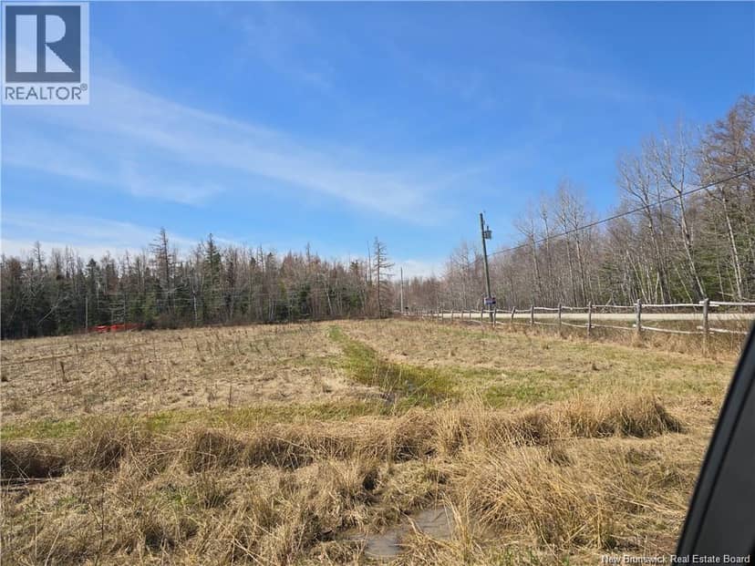 Acreage North Black River Road — photo 16 of 31