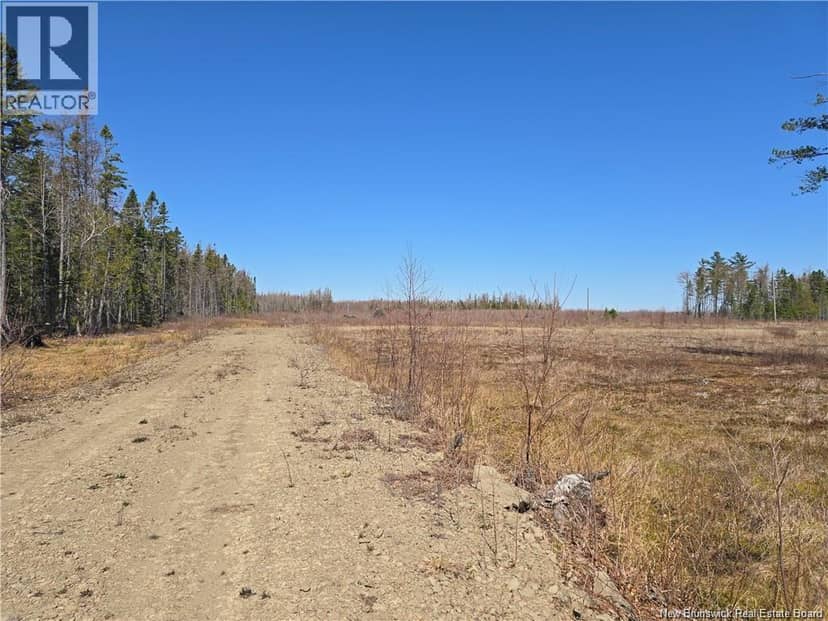 Acreage North Black River Road — photo 25 of 31