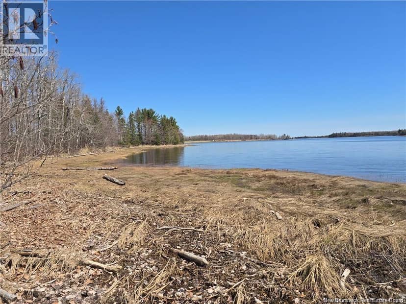 Acreage North Black River Road — photo 10 of 31