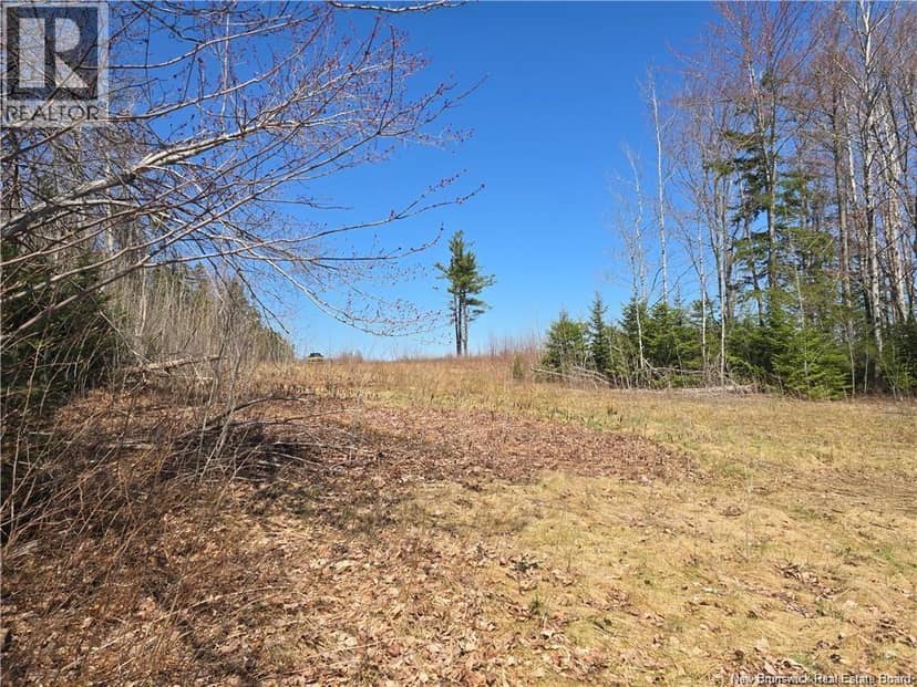 Acreage North Black River Road — photo 21 of 31