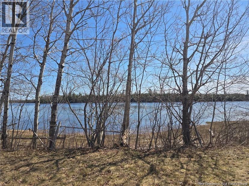 Acreage North Black River Road, Black River Bridge, photo 6