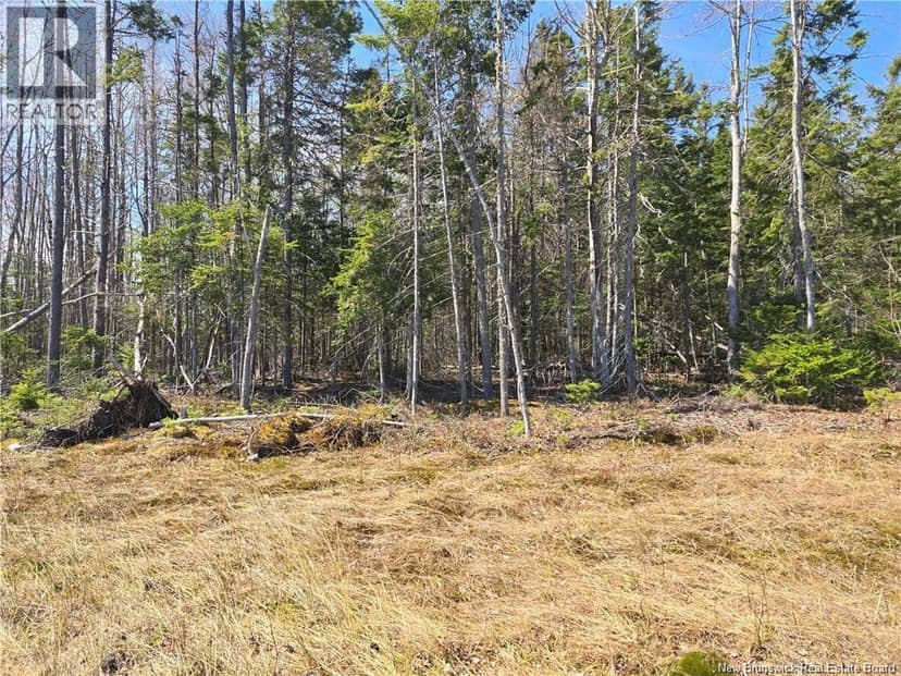 Acreage North Black River Road — photo 22 of 31