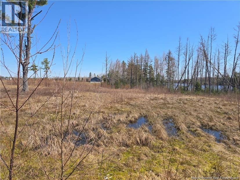 Acreage North Black River Road — photo 24 of 31