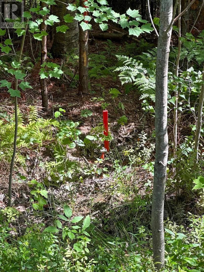 LOT 100-R CROUSES SETTLEMENT Road — photo 12 of 14