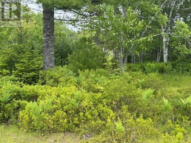 Lot 7 Bay Street, French Cove, photo 2