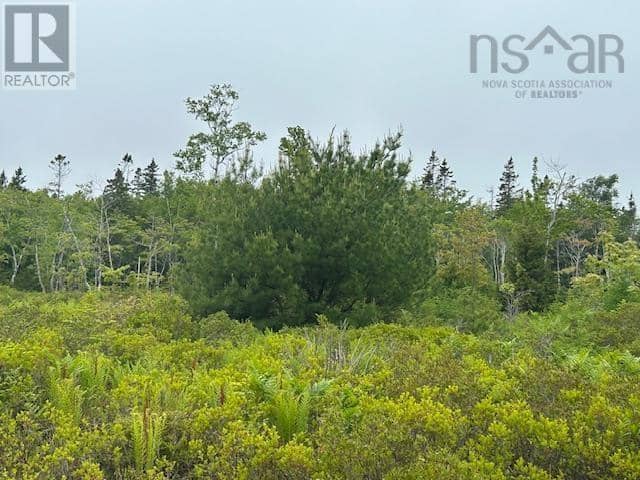 Lot 7 Bay Street — photo 11 of 14