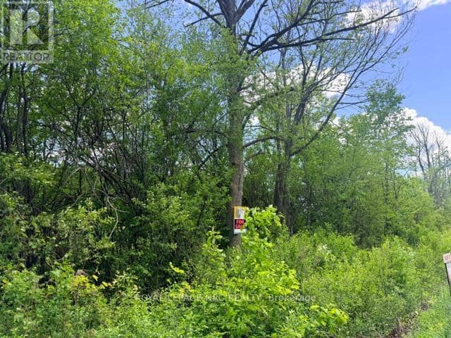 V/L Centralia Avenue N — photo 1 of 11