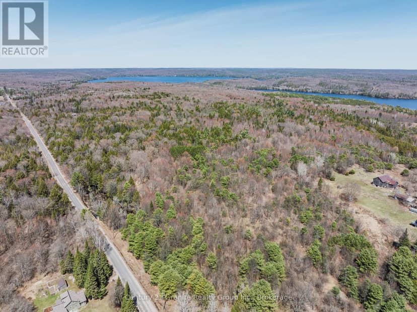 Part 1 Buckslide Road, Algonquin Highlands, photo 6
