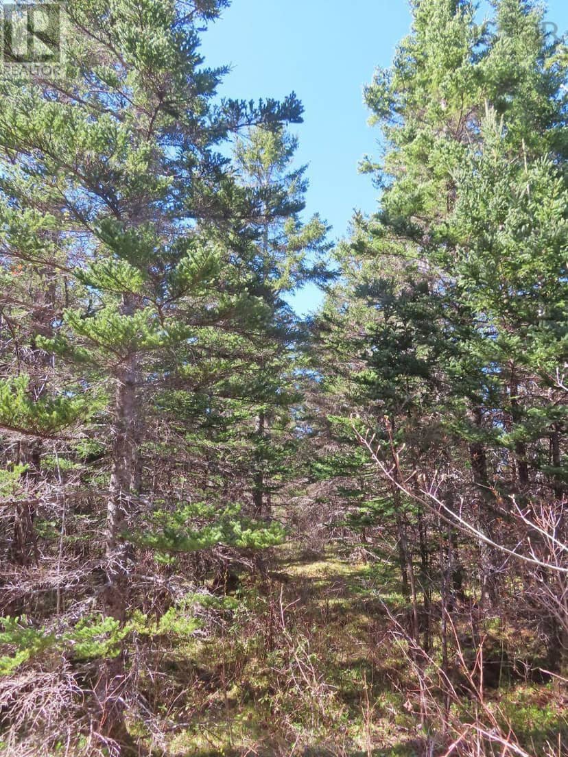 Lot 2 Old Trunk 4 Highway — photo 21 of 34