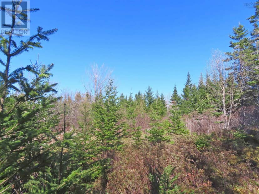 Lot 2 Old Trunk 4 Highway — photo 10 of 34