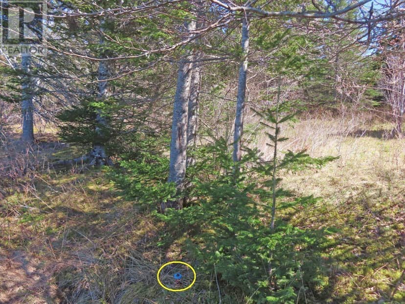 Lot 2 Old Trunk 4 Highway — photo 23 of 34