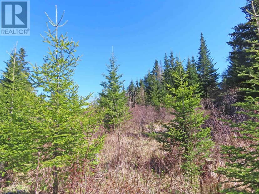 Lot 2 Old Trunk 4 Highway — photo 8 of 34