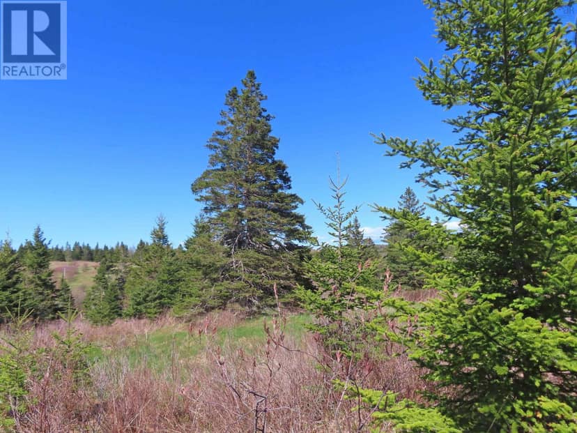 Lot 2 Old Trunk 4 Highway — photo 7 of 34