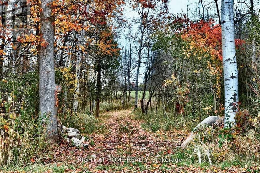 397641 10 Concession — photo 7 of 7