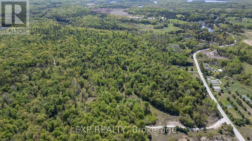 00 Iron Mine Road — photo 15 of 26