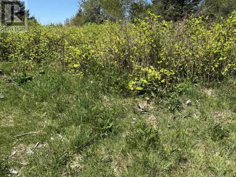 146 Rocco Point Road — photo 6 of 14