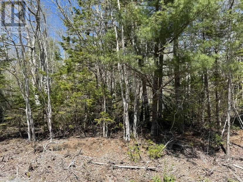 Lot 1-A Gavel Road — photo 4 of 14