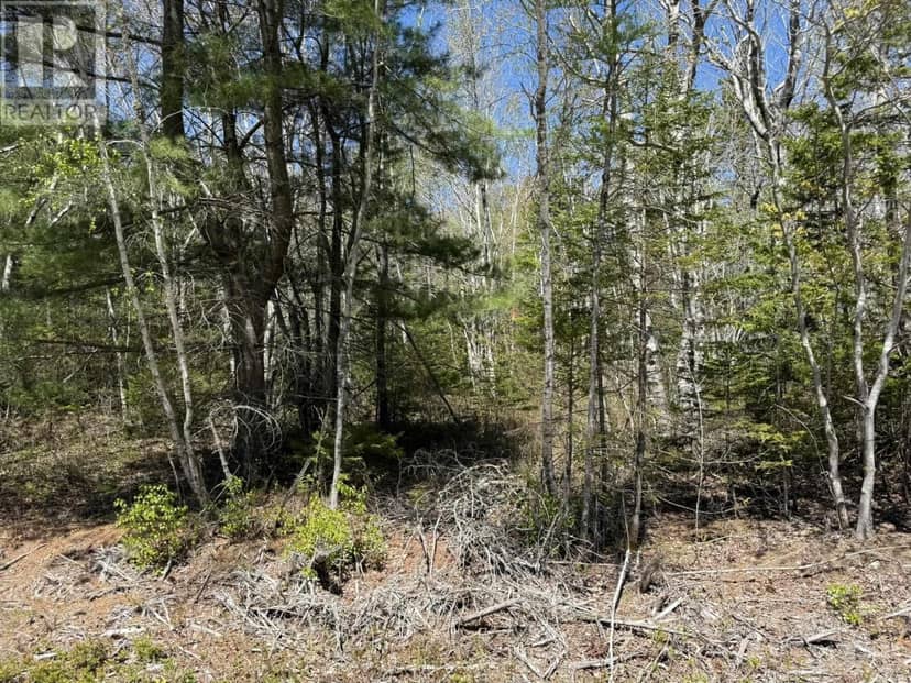 Lot 1-A Gavel Road — photo 5 of 14