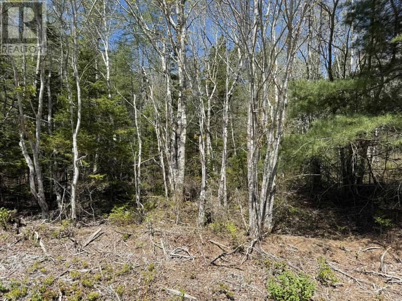 Lot 1-A Gavel Road — photo 7 of 14