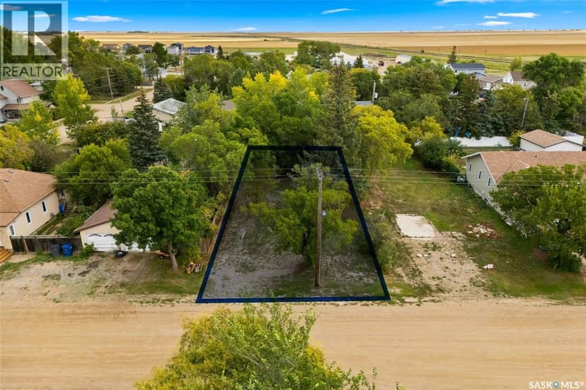 307 Elder STREET, Pense, photo 4