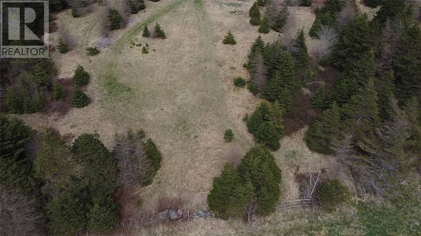 0 Beaver Pond Road — photo 14 of 40