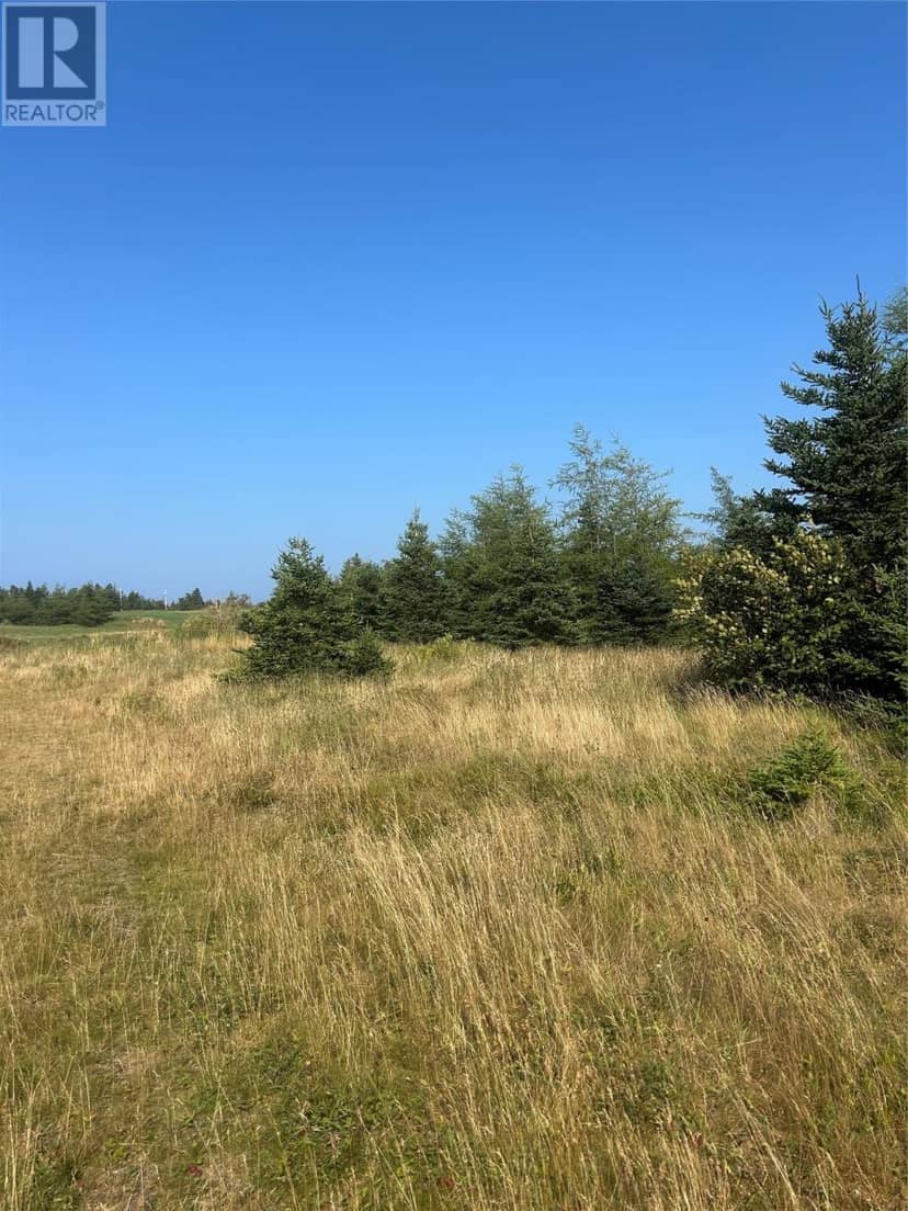 0 Beaver Pond Road — photo 6 of 40