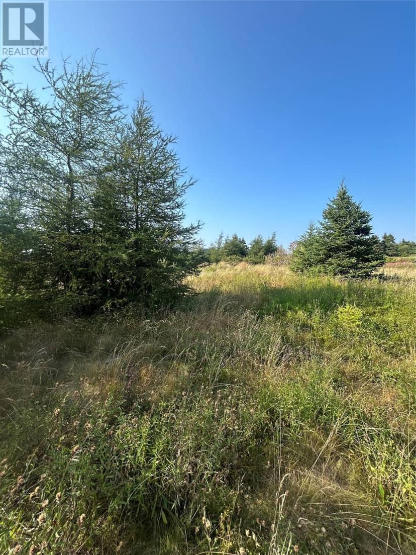 0 Beaver Pond Road — photo 8 of 40