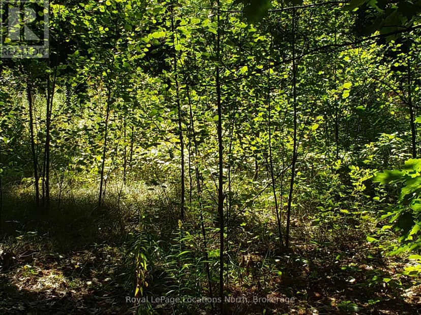 23 Stoney Road — photo 6 of 7