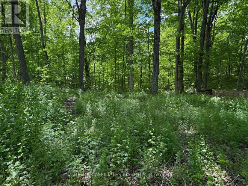 325 Cedar Sands Road — photo 13 of 26