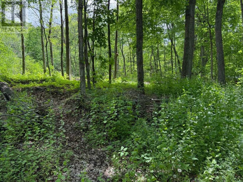 325 Cedar Sands Road — photo 15 of 26