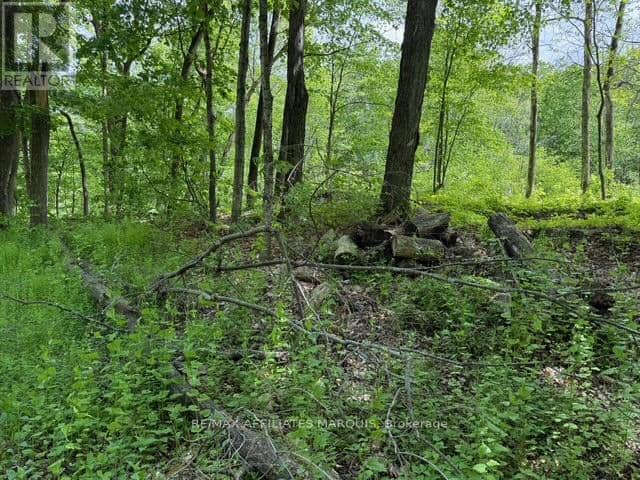 325 Cedar Sands Road — photo 16 of 26