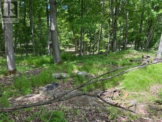 325 Cedar Sands Road — photo 17 of 26