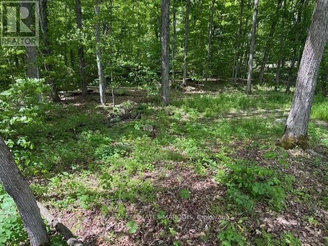 325 Cedar Sands Road — photo 18 of 26